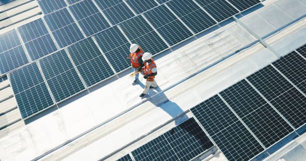 Best Roof Moss and Algae Removal  in Covington, OH
