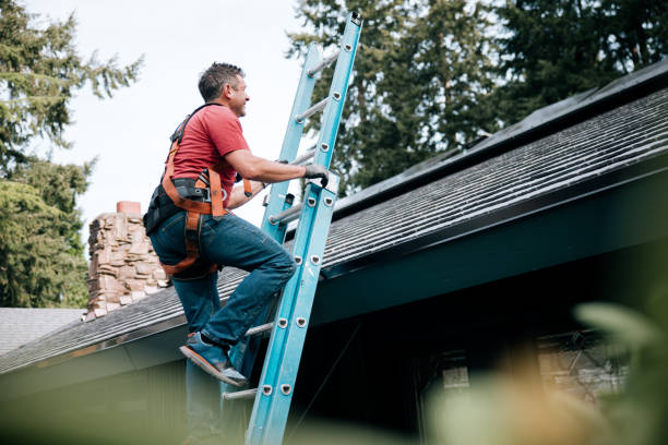 Best Skylight Installation and Repair  in Covington, OH